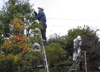 剪定・消毒散布・植裁等