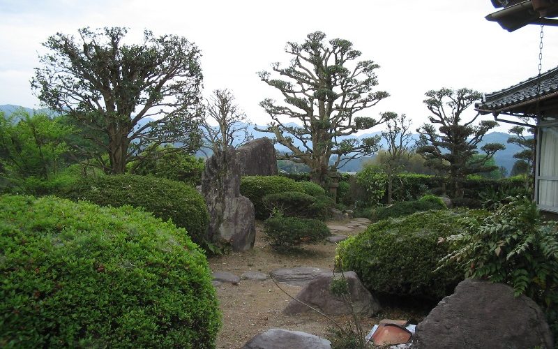 和風庭園の庭木の剪定