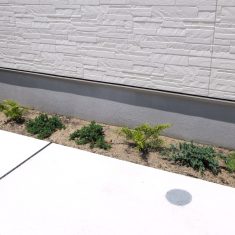 玄関横の植栽スペースです。