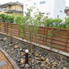 写真中央に植えてある根元が白い木が「シラカバ」です。自生は高原や山地とされており、平地では栽培が難しいといわれている木です。