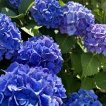 6月21日★夏至